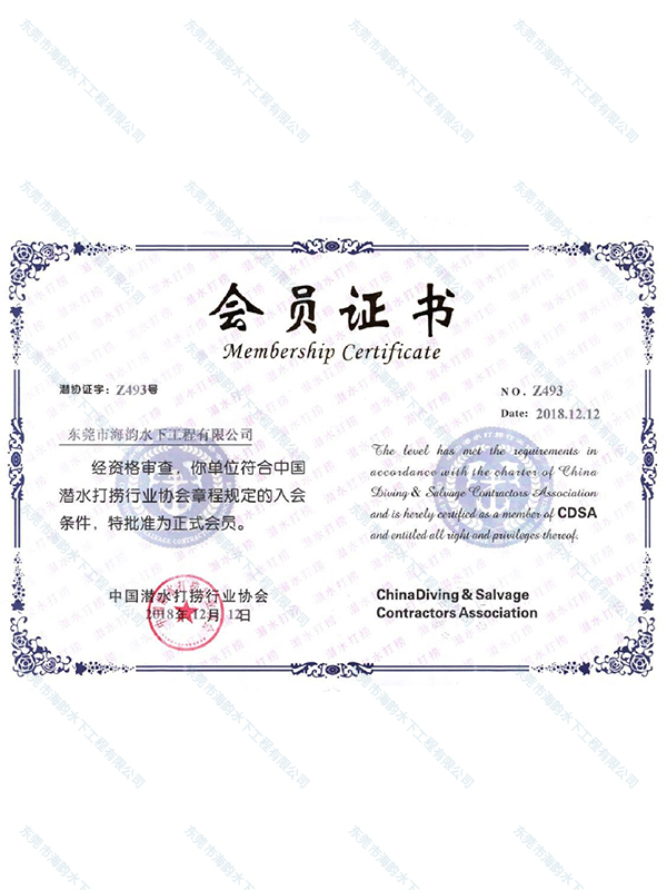 中国潜水打捞行业协会...